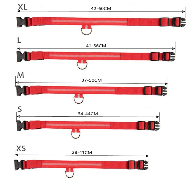 XS/M USB Rechargeable LED Dog Collar