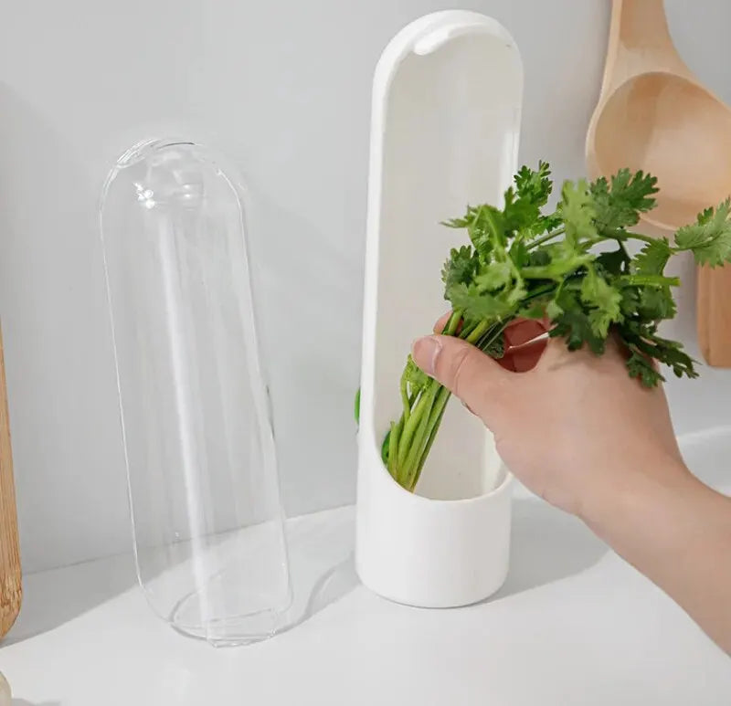 Dust-proof Anti-pressure Environmental Protection Fresh Keeping Vegetable Box