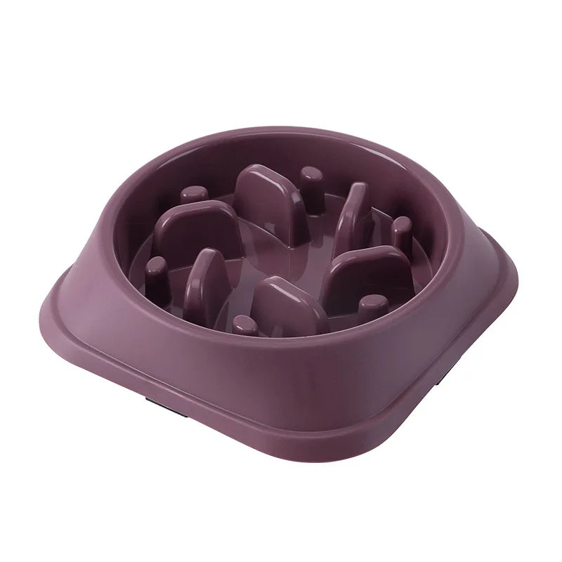Pet Slow Feeder Food Bowl