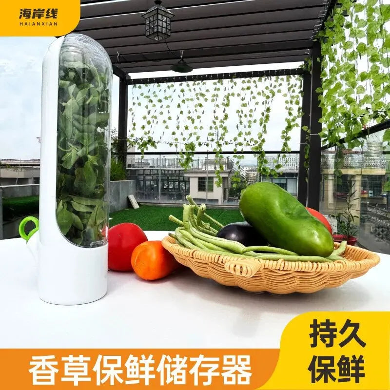 Dust-proof Anti-pressure Environmental Protection Fresh Keeping Vegetable Box