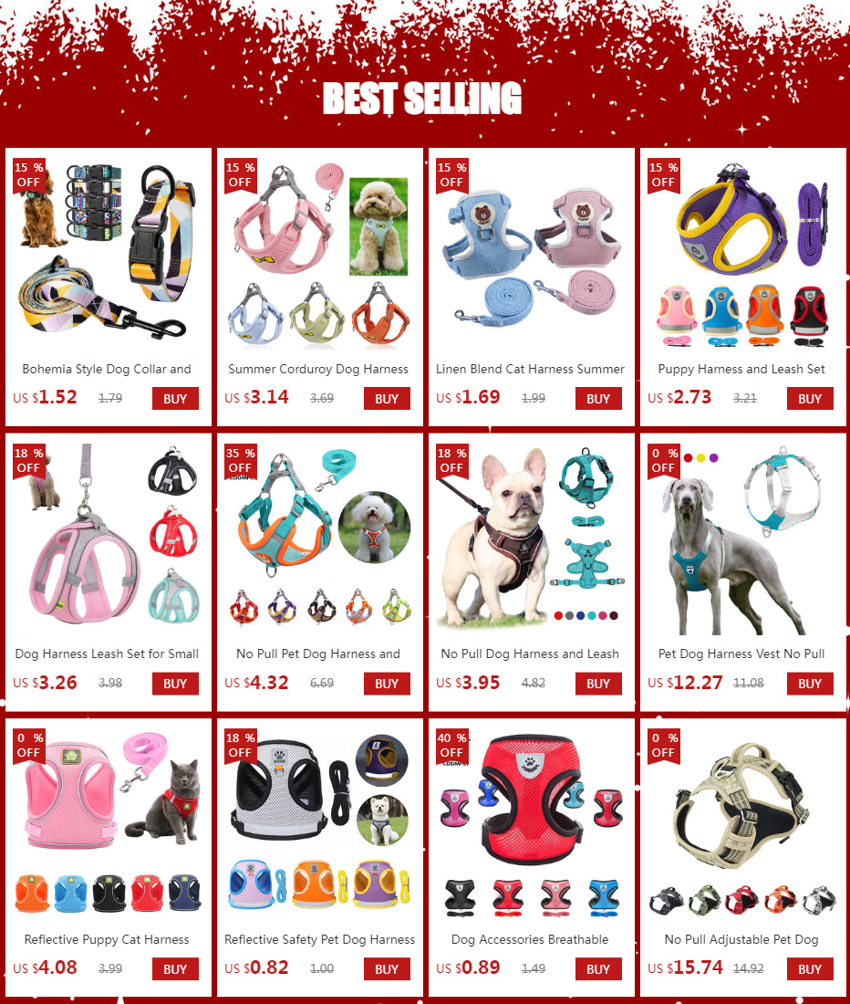 Dog Harness Leash Set