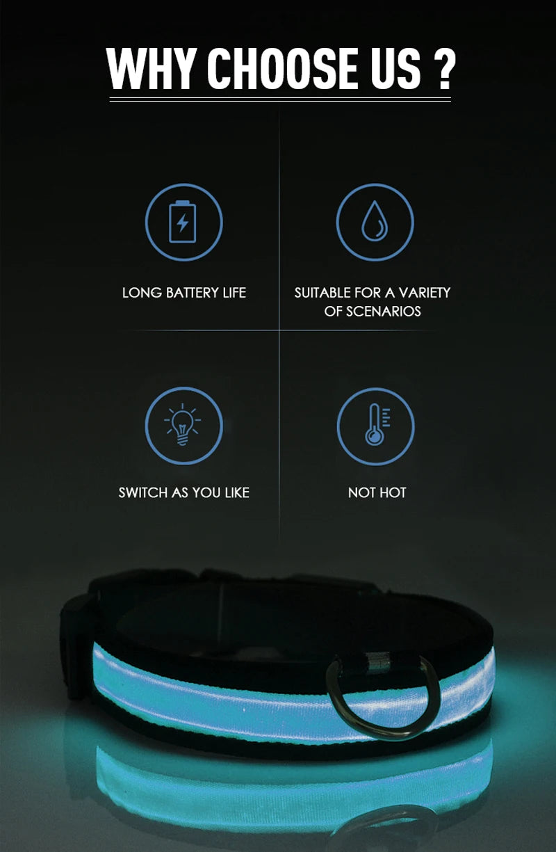 XS/M USB Rechargeable LED Dog Collar