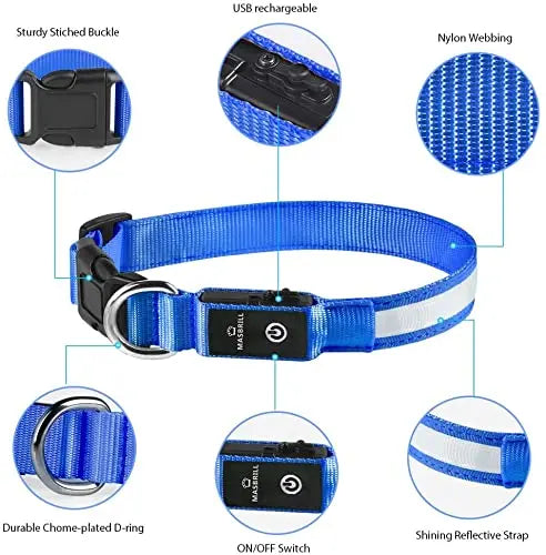 XS/M USB Rechargeable LED Dog Collar