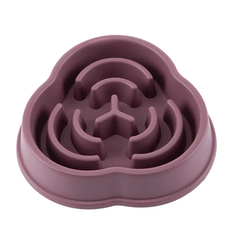 Pet Slow Feeder Food Bowl
