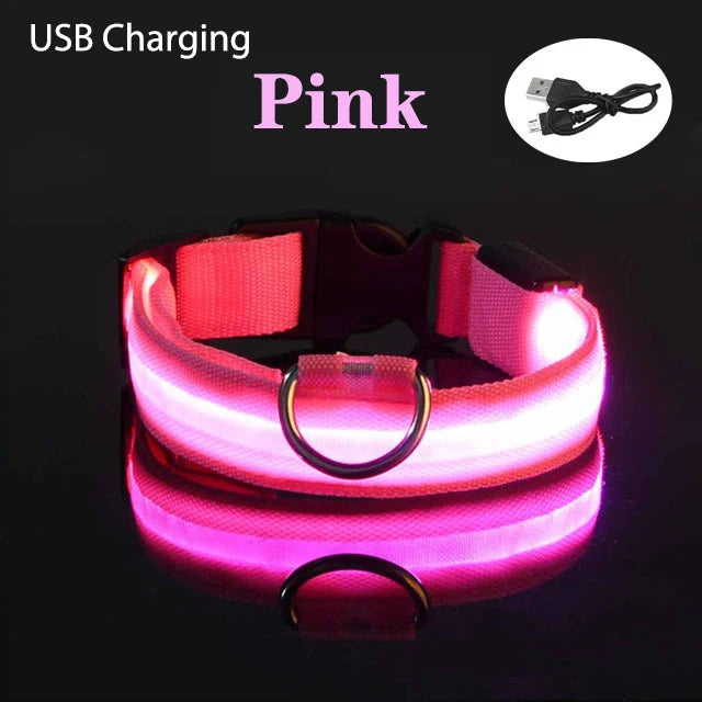 XS/M USB Rechargeable LED Dog Collar