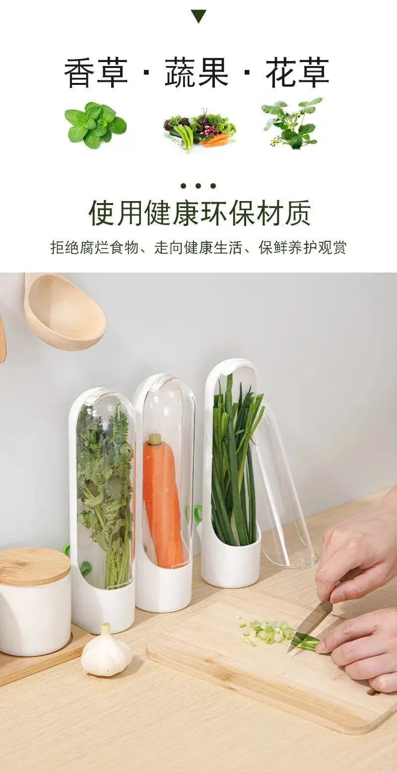 Dust-proof Anti-pressure Environmental Protection Fresh Keeping Vegetable Box