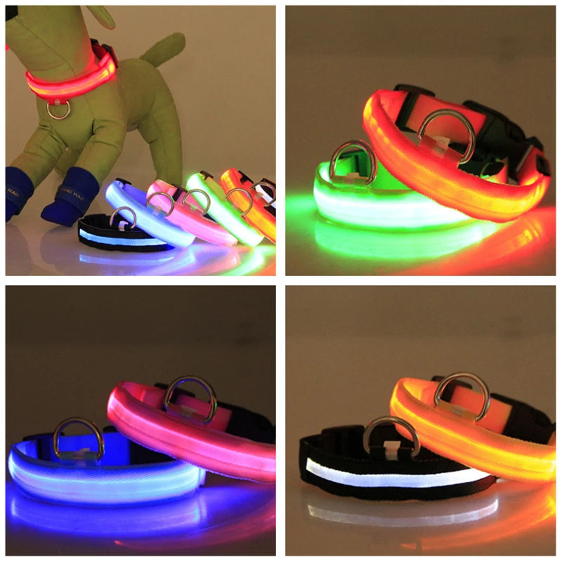 XS/M USB Rechargeable LED Dog Collar