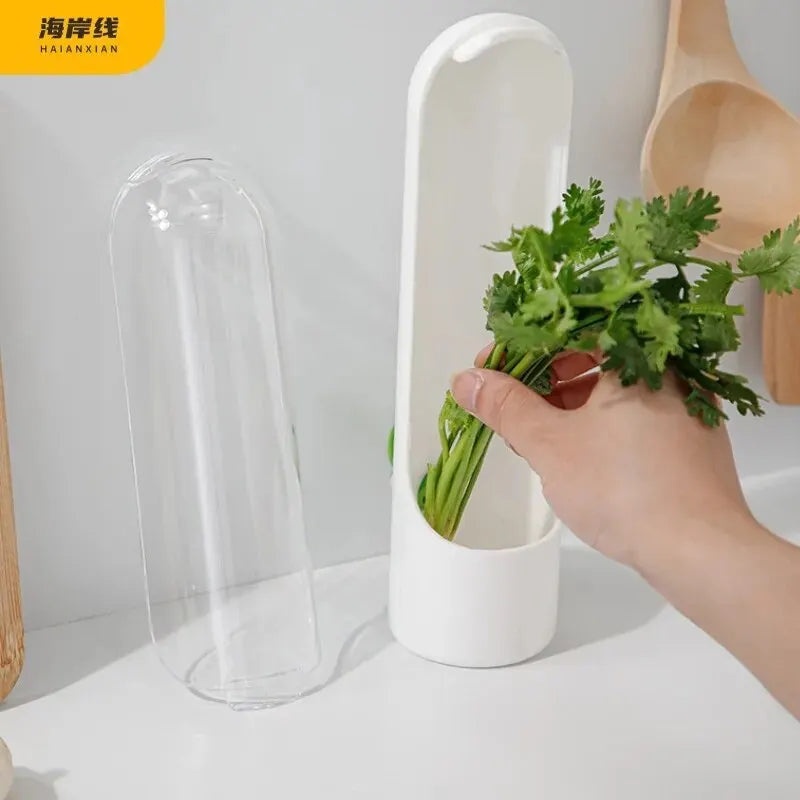 Dust-proof Anti-pressure Environmental Protection Fresh Keeping Vegetable Box
