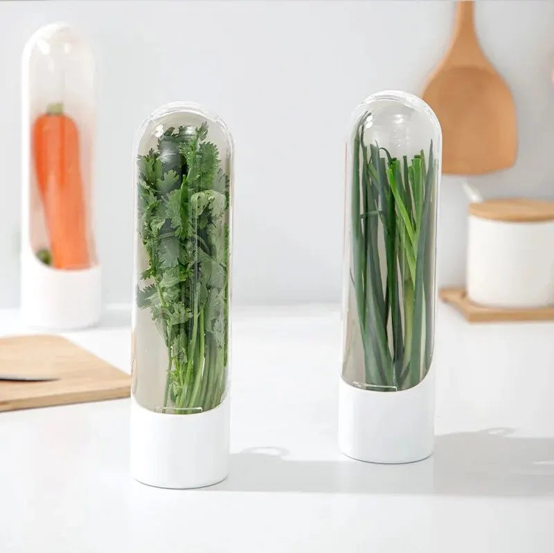 Dust-proof Anti-pressure Environmental Protection Fresh Keeping Vegetable Box