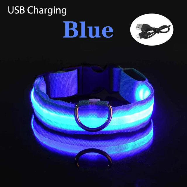 XS/M USB Rechargeable LED Dog Collar