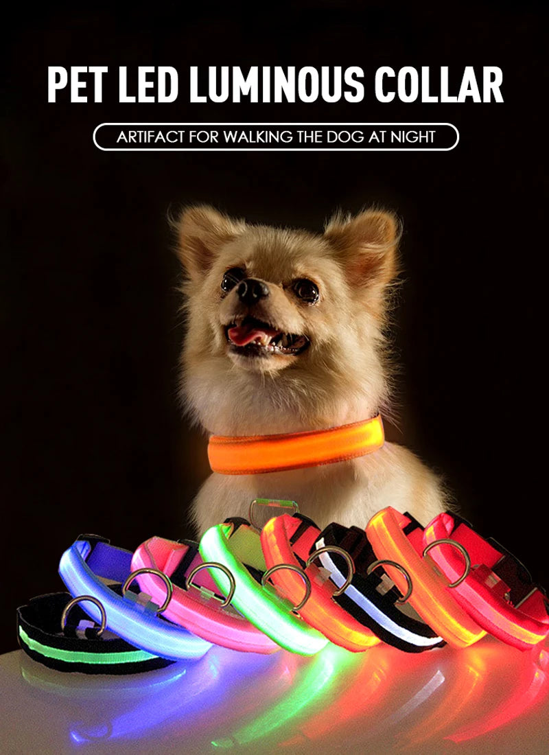XS/M USB Rechargeable LED Dog Collar