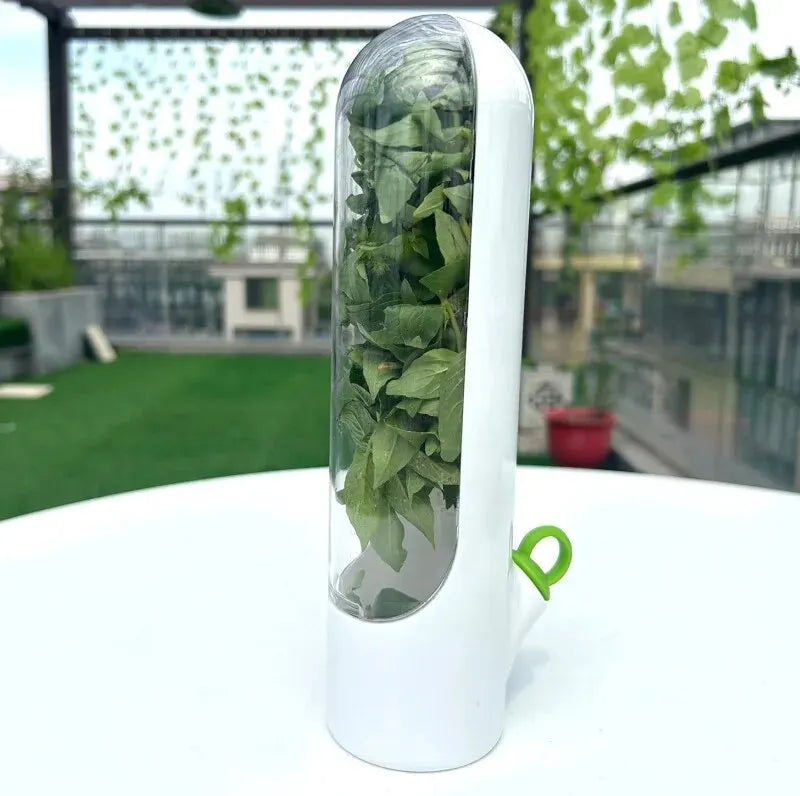 Dust-proof Anti-pressure Environmental Protection Fresh Keeping Vegetable Box