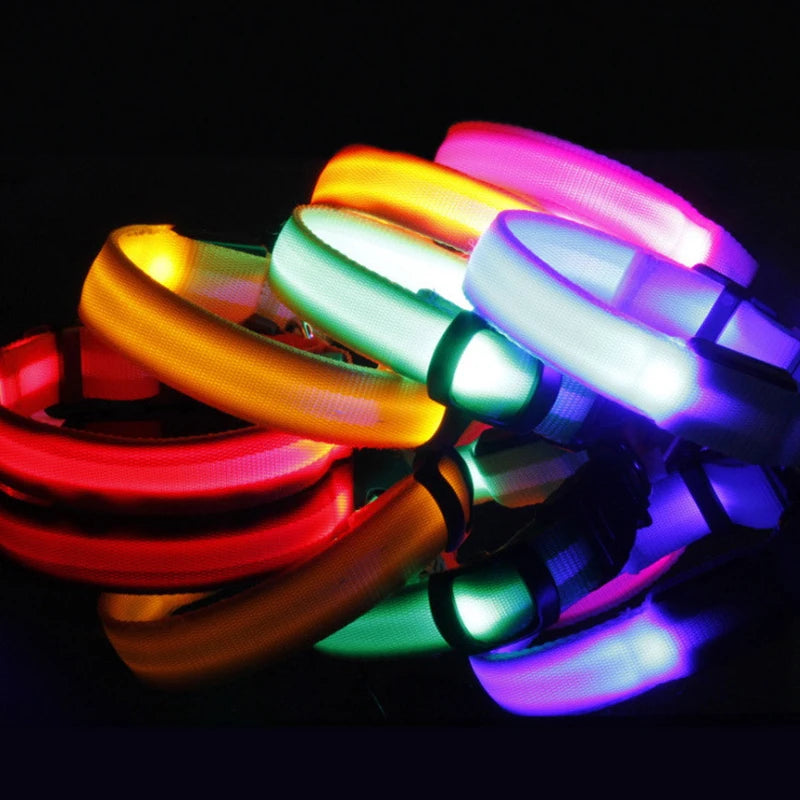 XS/M USB Rechargeable LED Dog Collar
