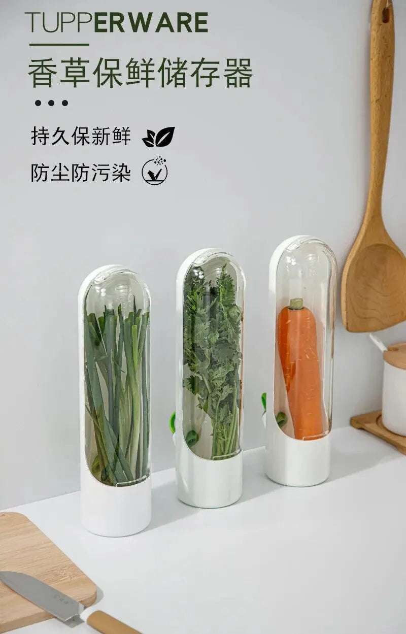Dust-proof Anti-pressure Environmental Protection Fresh Keeping Vegetable Box