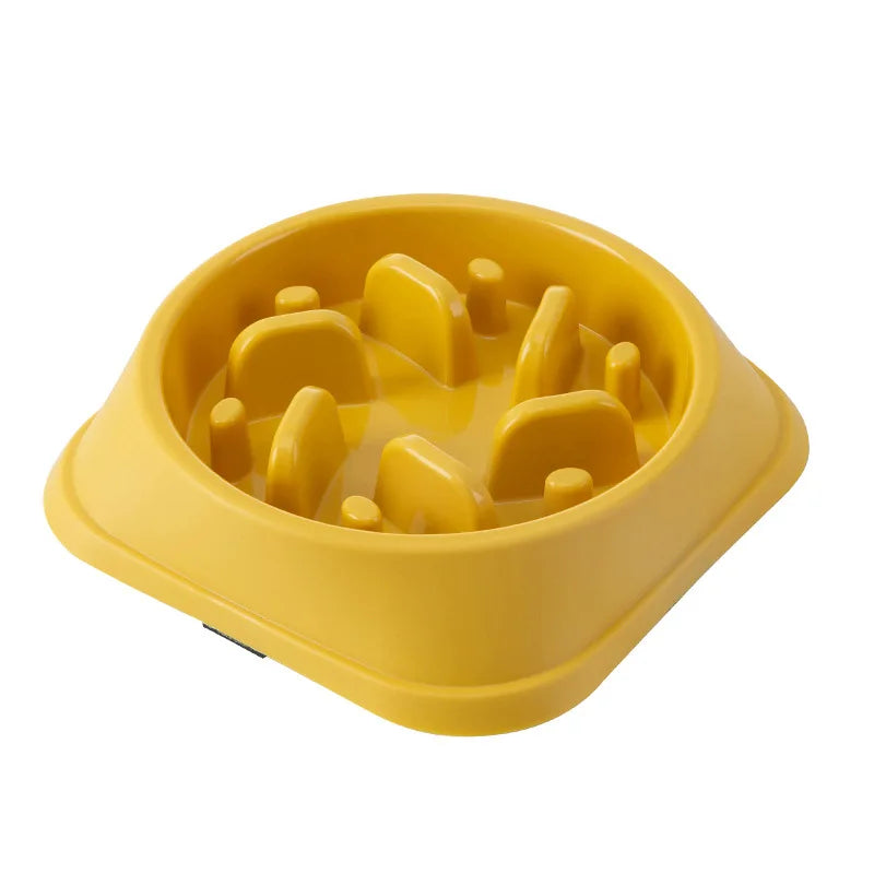 Pet Slow Feeder Food Bowl