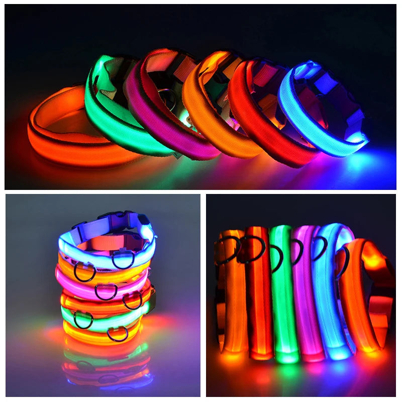 XS/M USB Rechargeable LED Dog Collar
