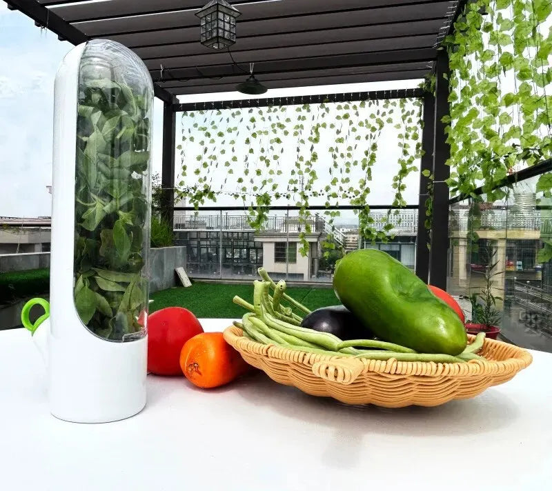 Dust-proof Anti-pressure Environmental Protection Fresh Keeping Vegetable Box