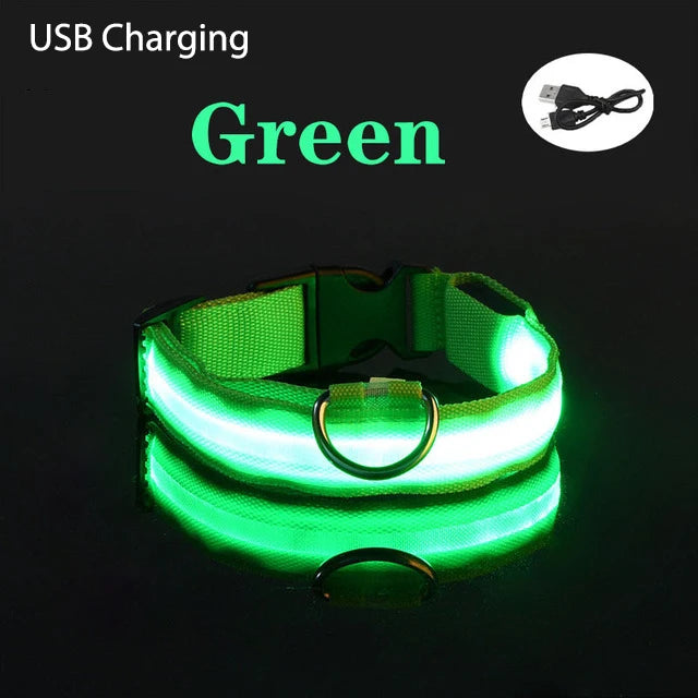 XS/M USB Rechargeable LED Dog Collar
