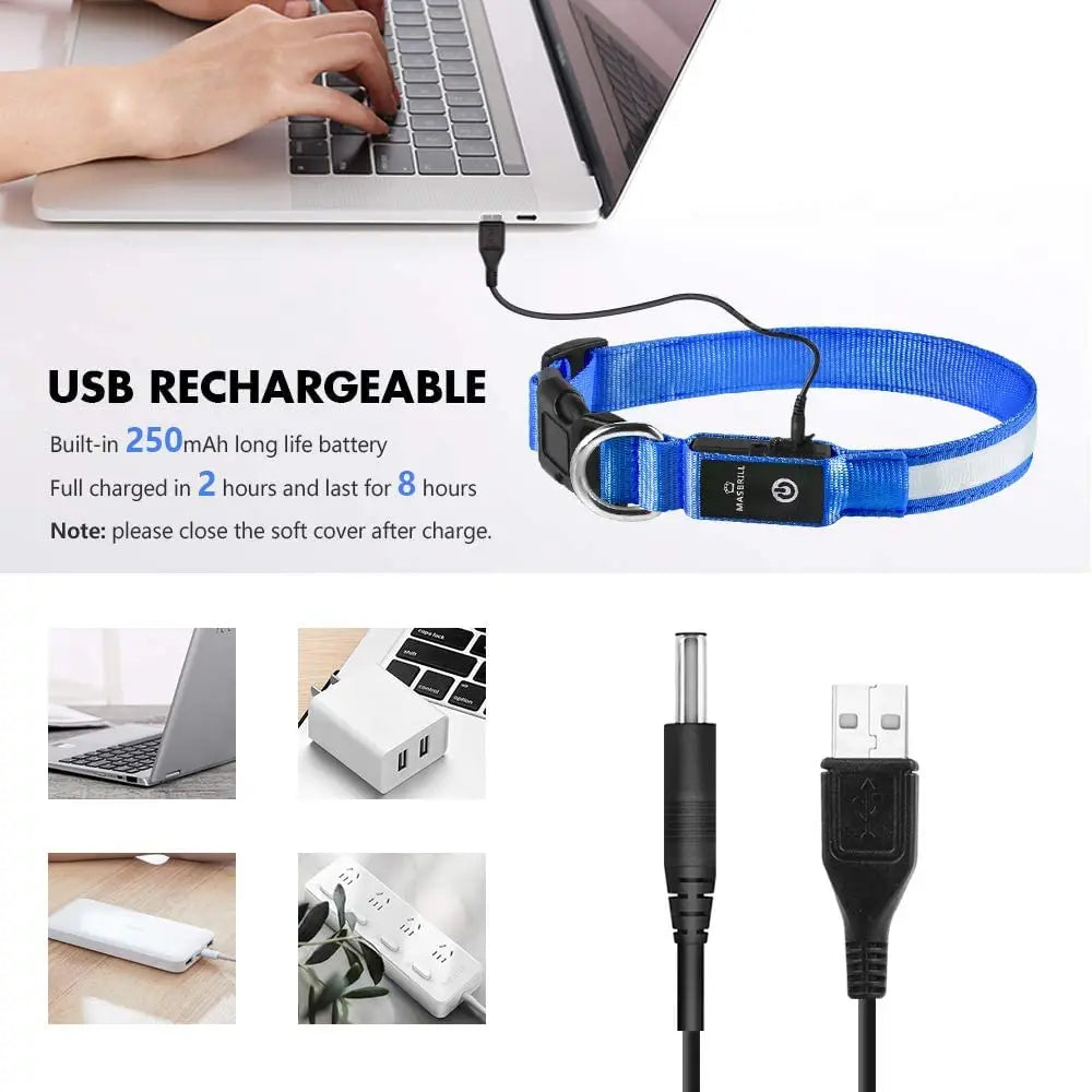 XS/M USB Rechargeable LED Dog Collar