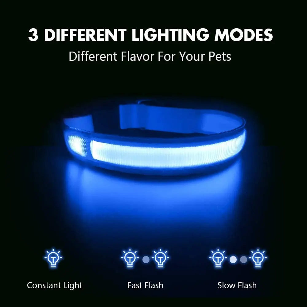 XS/M USB Rechargeable LED Dog Collar