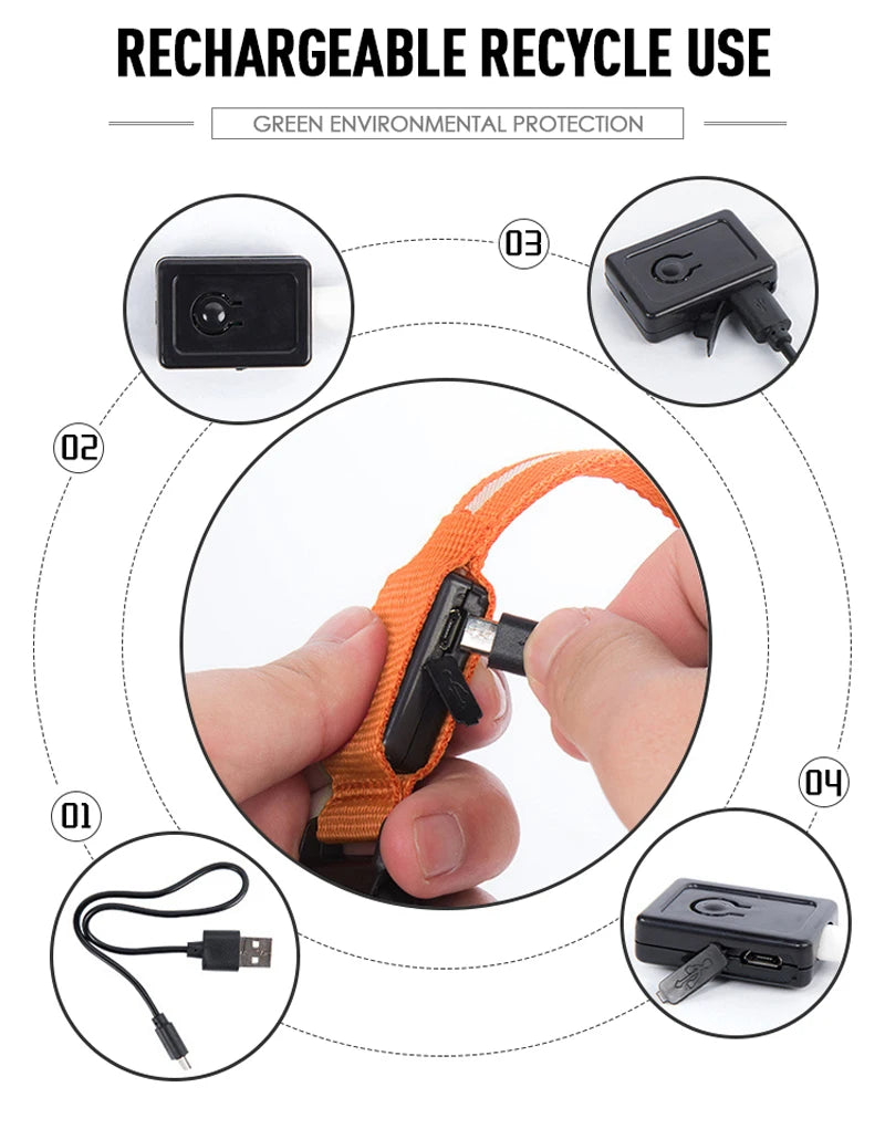 XS/M USB Rechargeable LED Dog Collar