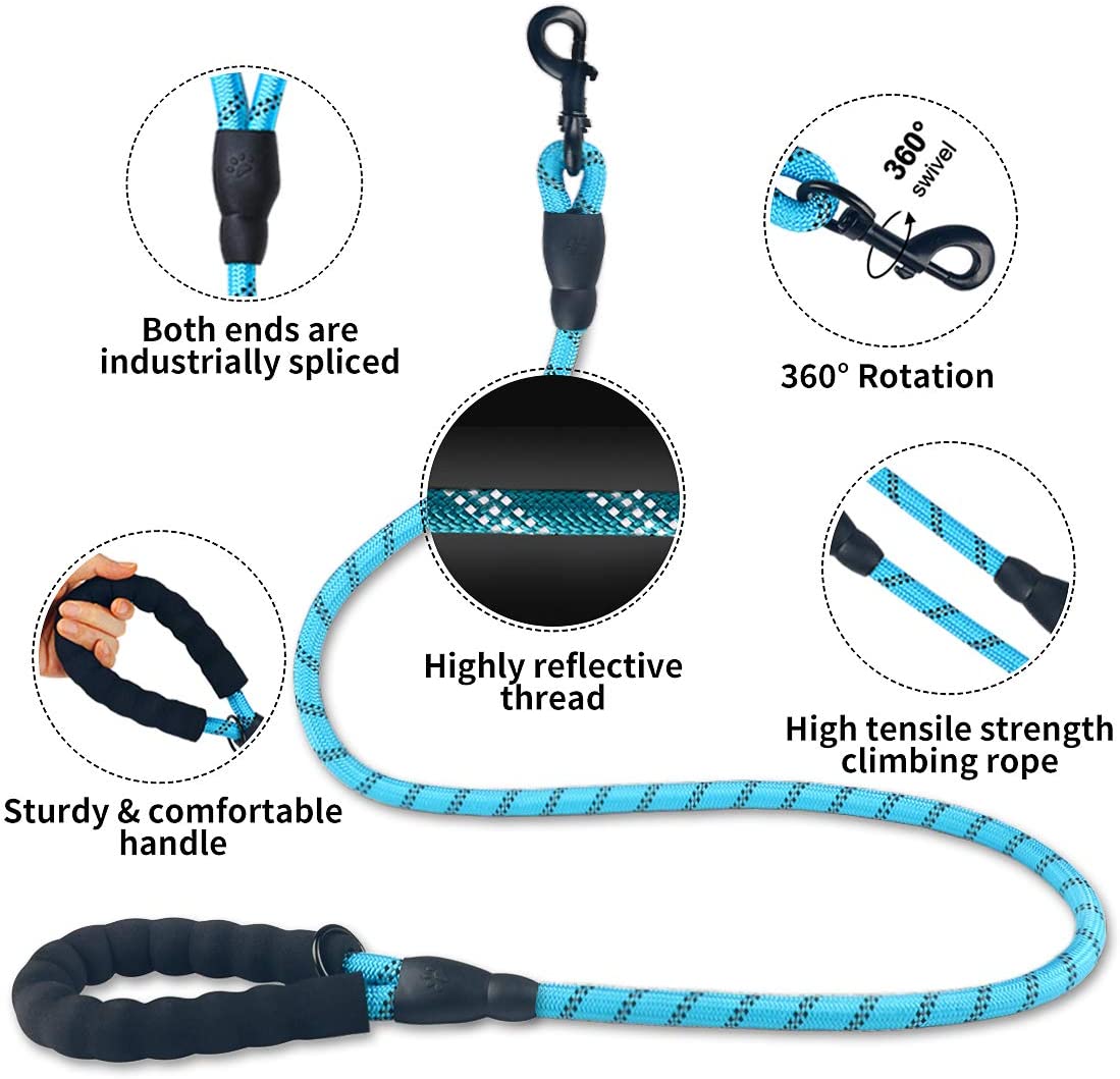 Small & Medium Sized Dog Luminous Leash