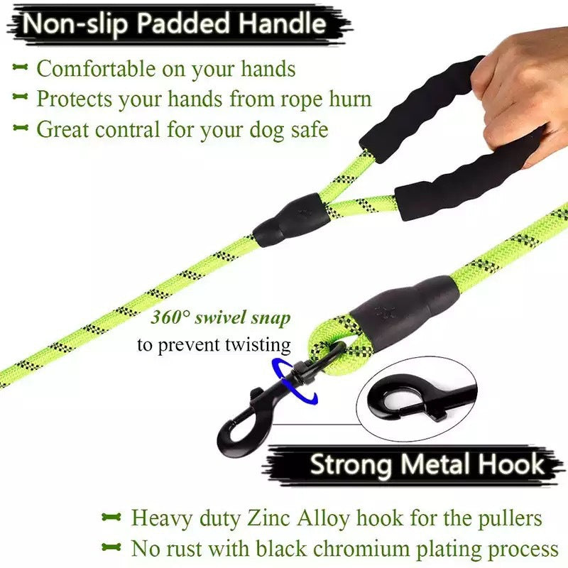 Small & Medium Sized Dog Luminous Leash