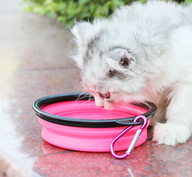 2 In 1 Pet Water Bottle Dispenser & Silicone Bowl