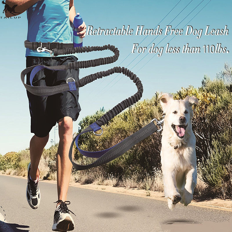 Multi-Function Running Reflective Double Elastic Dog Leash
