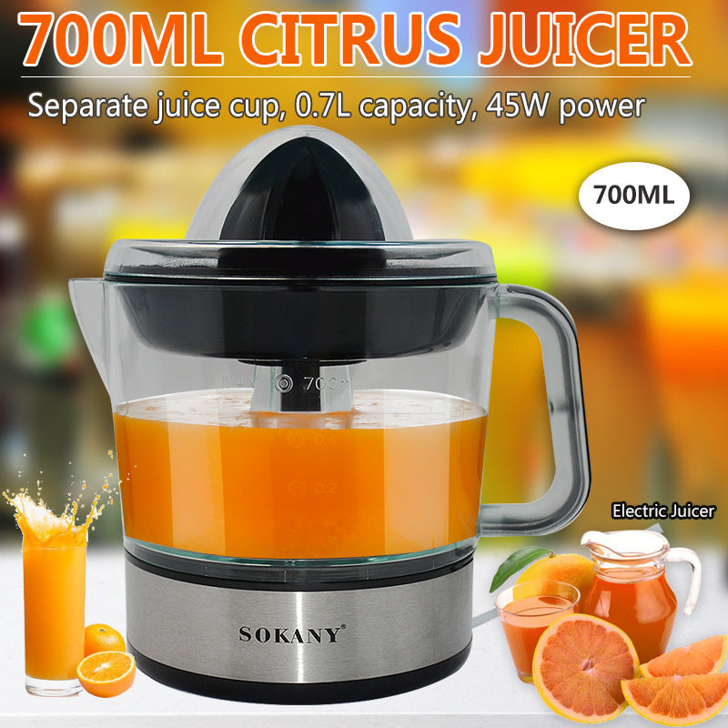 Portable Electric Blender/Juicer