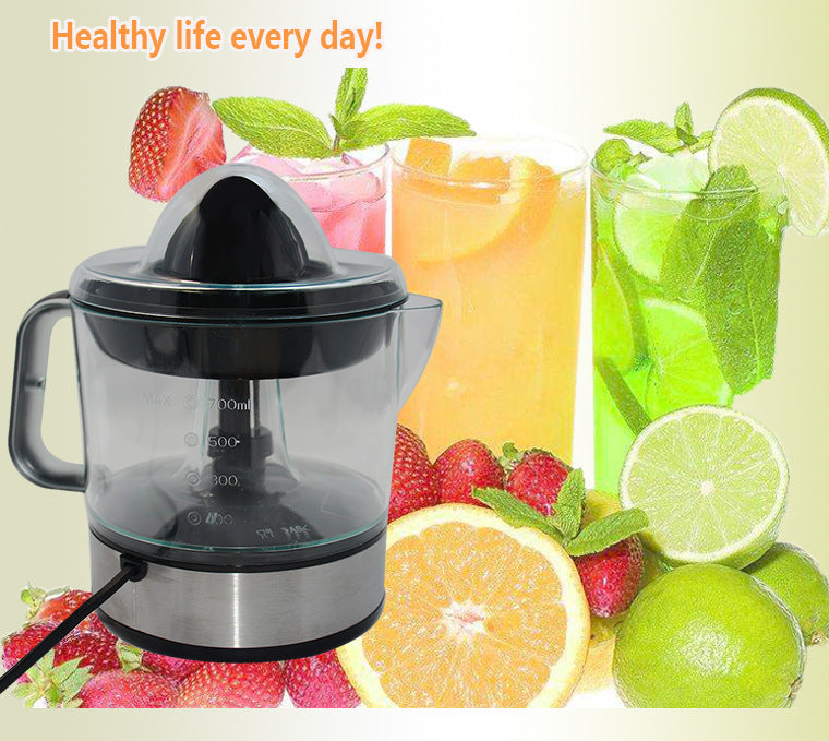 Portable Electric Blender/Juicer