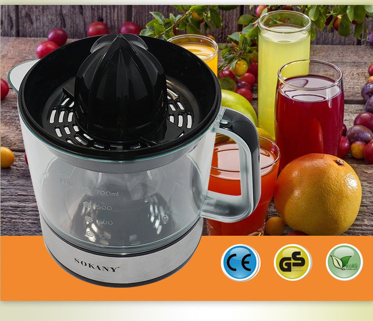 Portable Electric Blender/Juicer