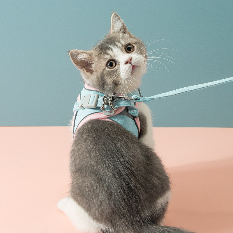 Cat Chest Strap Traction Rope
