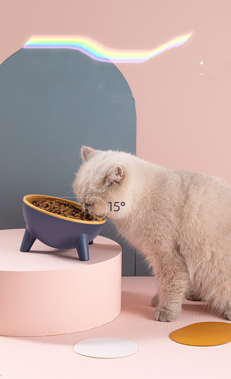 15° Tilt Pet Bowl