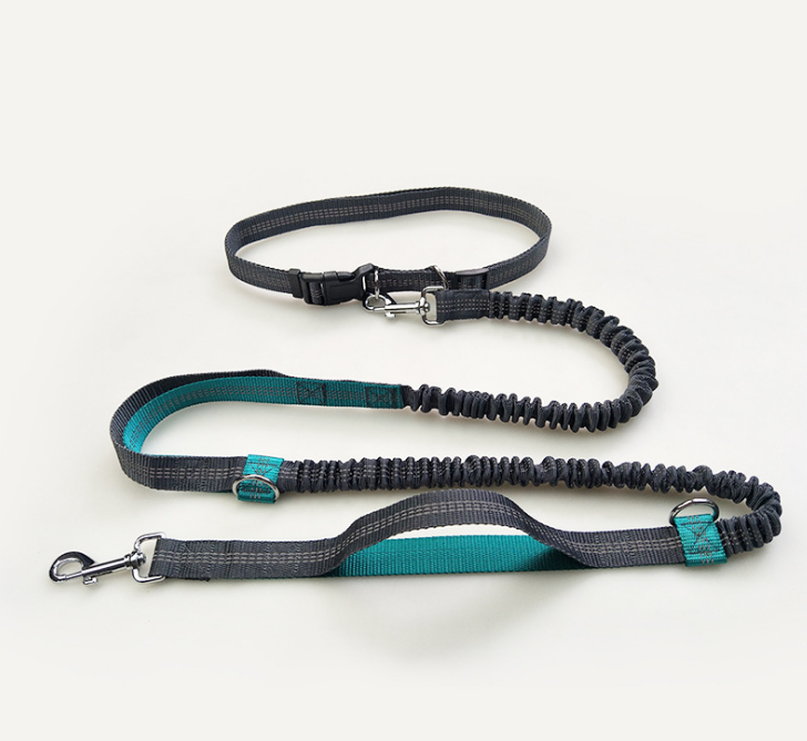 Multi-Function Running Reflective Double Elastic Dog Leash