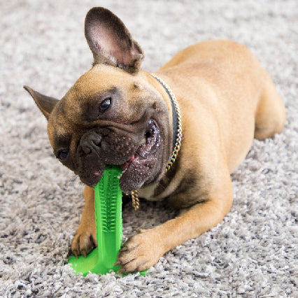 Silicone Pet Toothbrush Stick