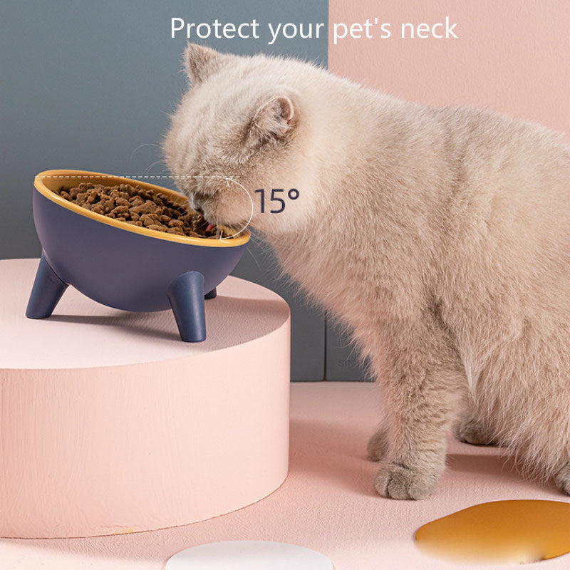 15° Tilt Pet Bowl