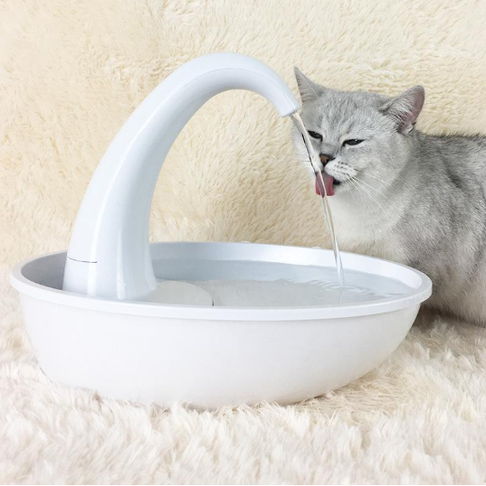 Automatic Swan Pet Water Dispenser Drinking Bowl