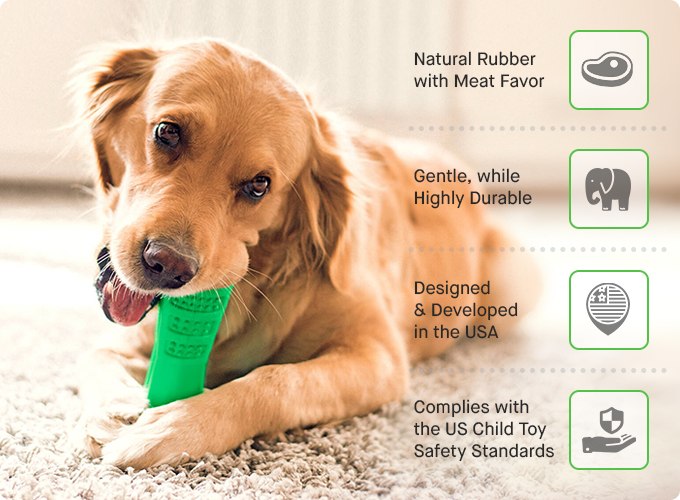 Silicone Pet Toothbrush Stick