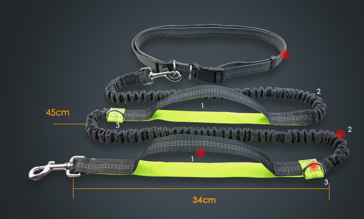 Multi-Function Running Reflective Double Elastic Dog Leash