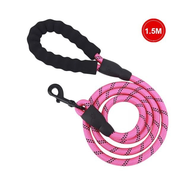 Small & Medium Sized Dog Luminous Leash
