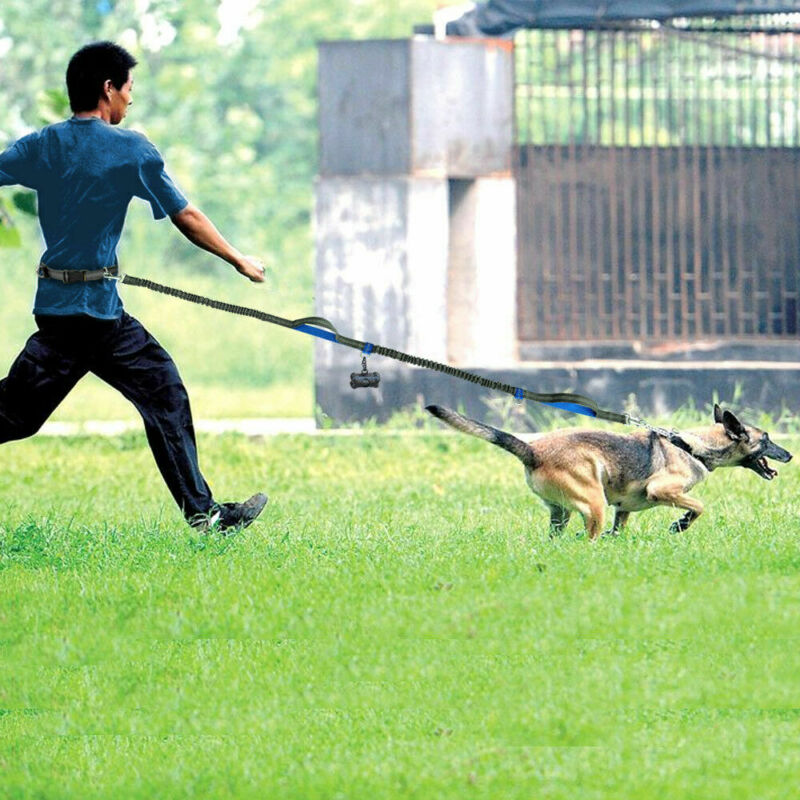 Multi-Function Running Reflective Double Elastic Dog Leash