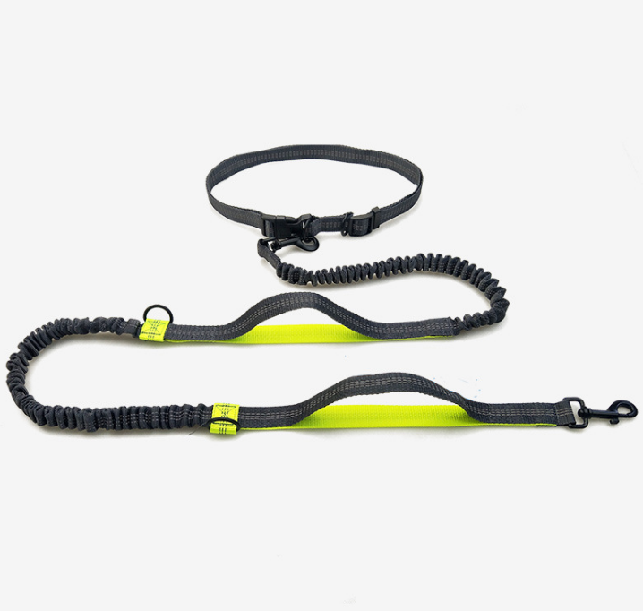 Multi-Function Running Reflective Double Elastic Dog Leash