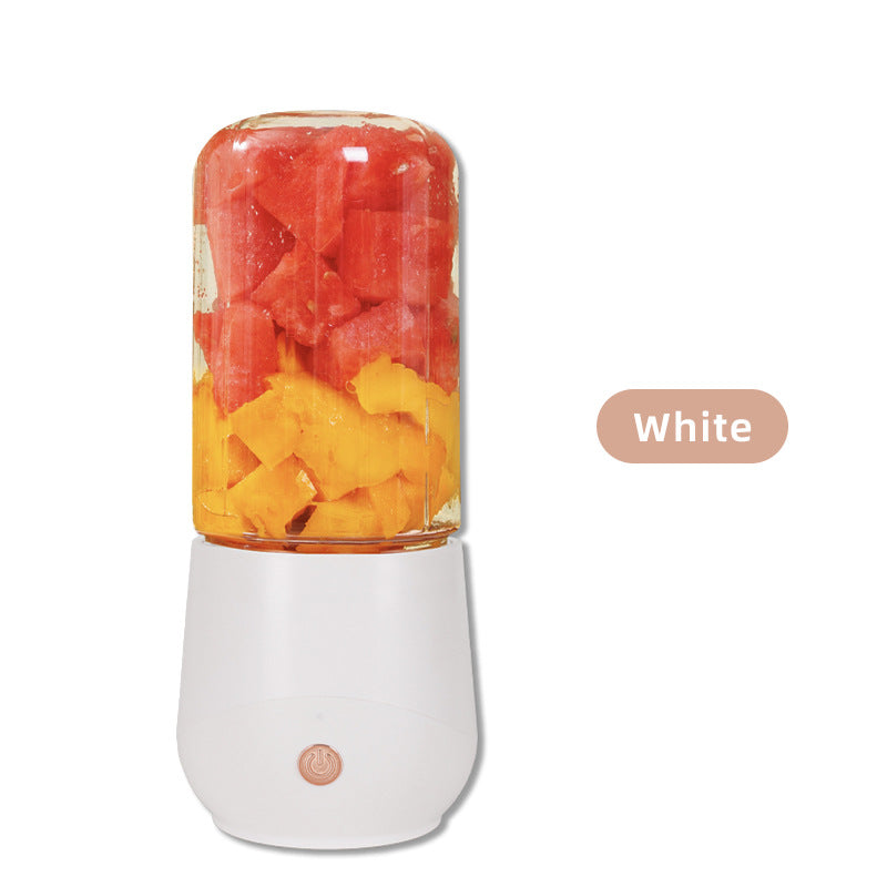 Mini Portable Electric Fruit Juicer/Mixer