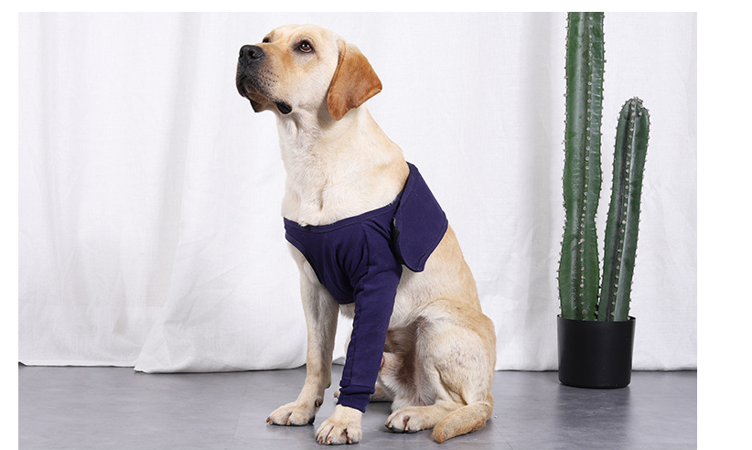 Dog Anti-licking Sleeve For Postoperative Recovery