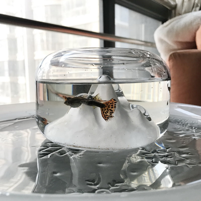 Glass Fish Tank Decor