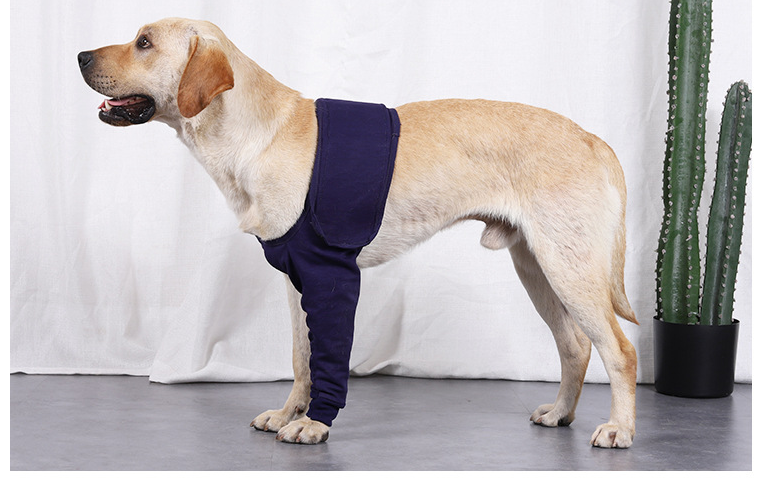Dog Anti-licking Sleeve For Postoperative Recovery