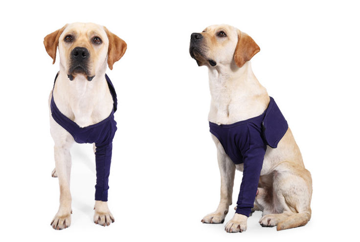 Dog Anti-licking Sleeve For Postoperative Recovery
