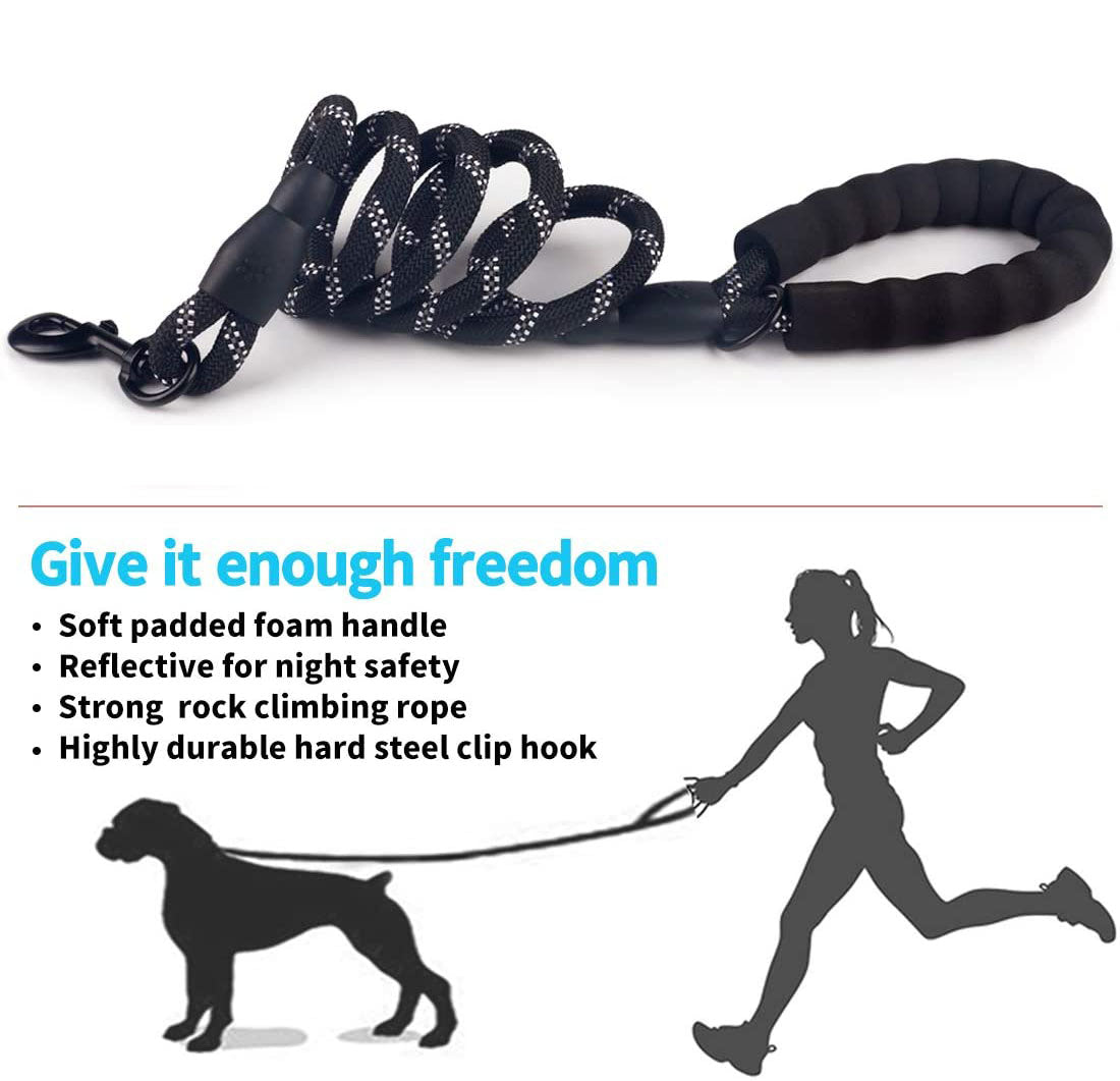 Small & Medium Sized Dog Luminous Leash