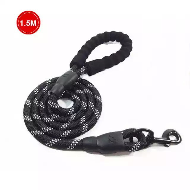 Small & Medium Sized Dog Luminous Leash